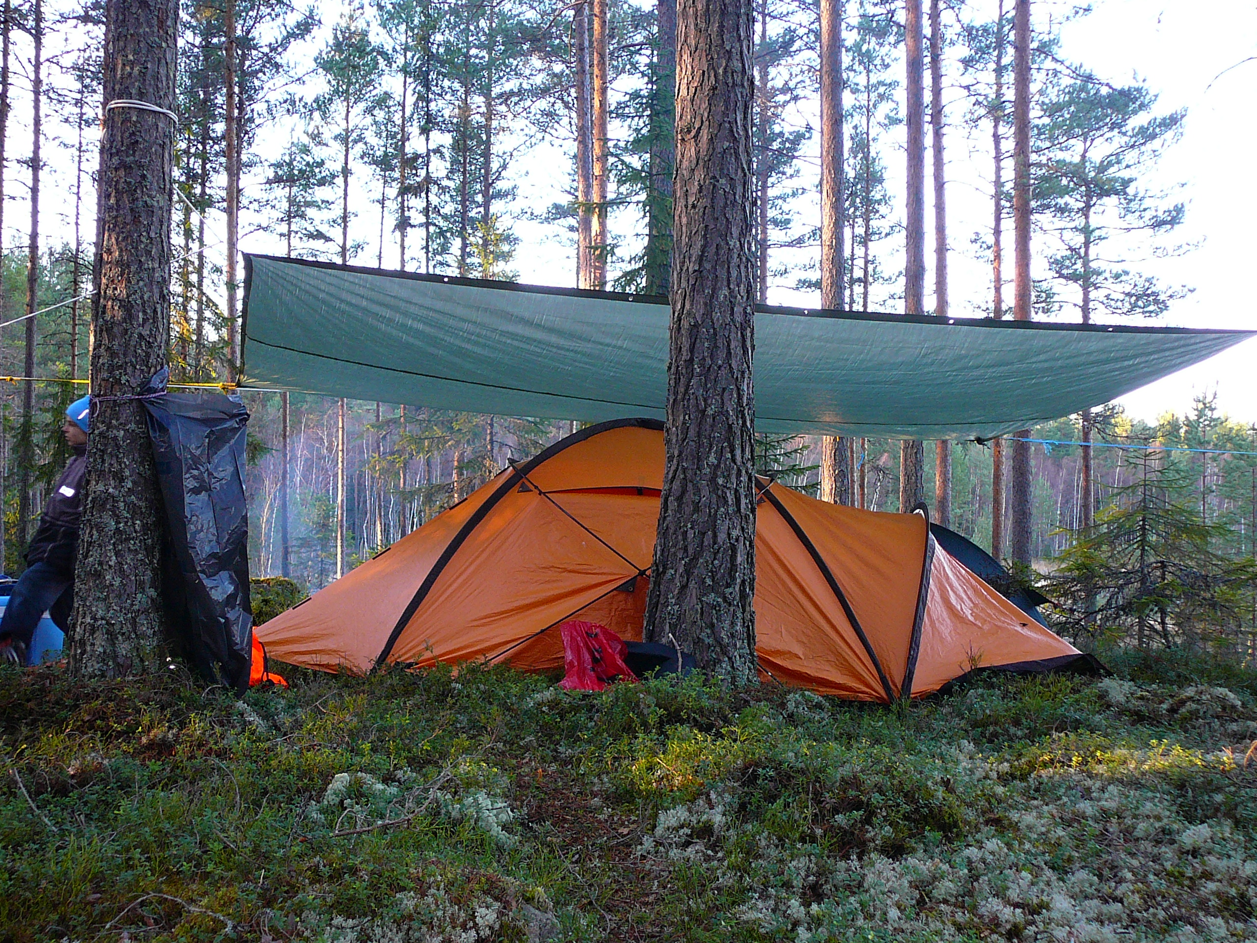 a tent in the woods